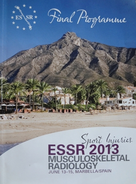 スペインでの学会発表 ESIR2013