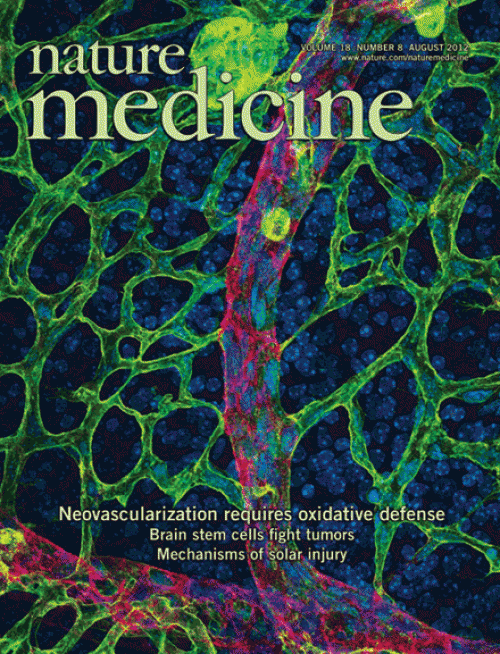 奥野先生の論文 その1 「病的血管について」