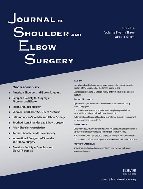 ������������ʸ�����Σ�