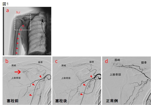 �������������ܸ츶�ơ��֥�������Ȥä��ˤߤη�ήɾ���ס�����